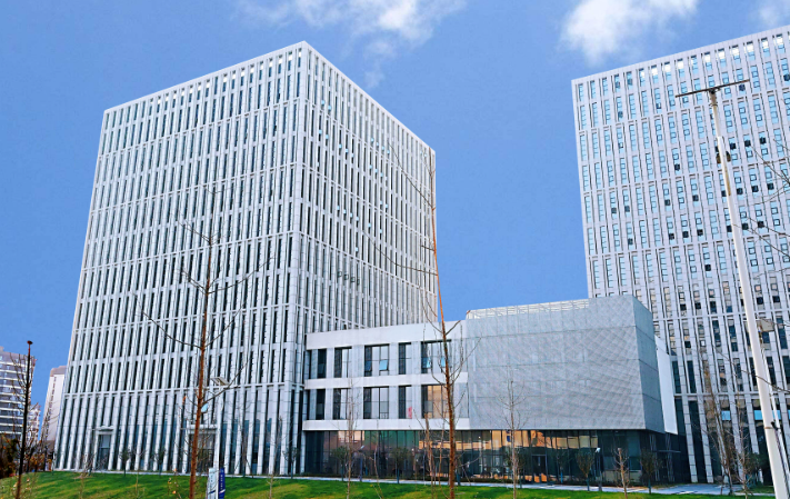 2024年河南苗木市场行情及常见绿化苗木品种推荐